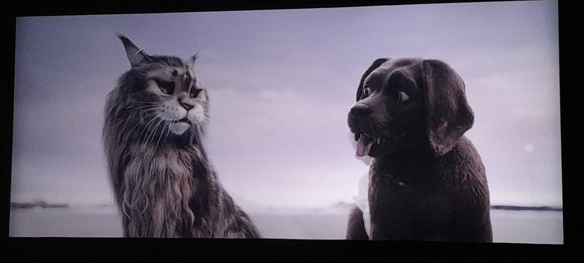      Wyjazd do kina klas młodszych  na seans  filmowy  „Pies i Kot” - Obrazek 1