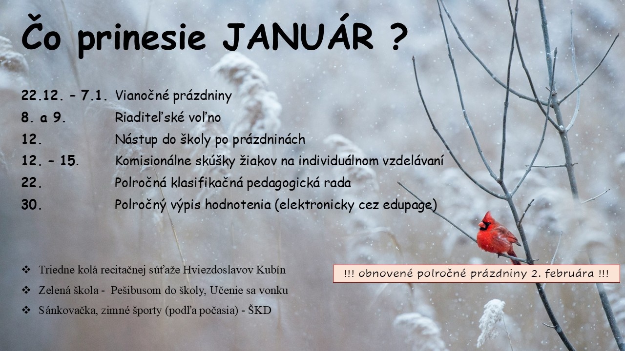 Plánované celoškolské aktivity - Obrázok 1