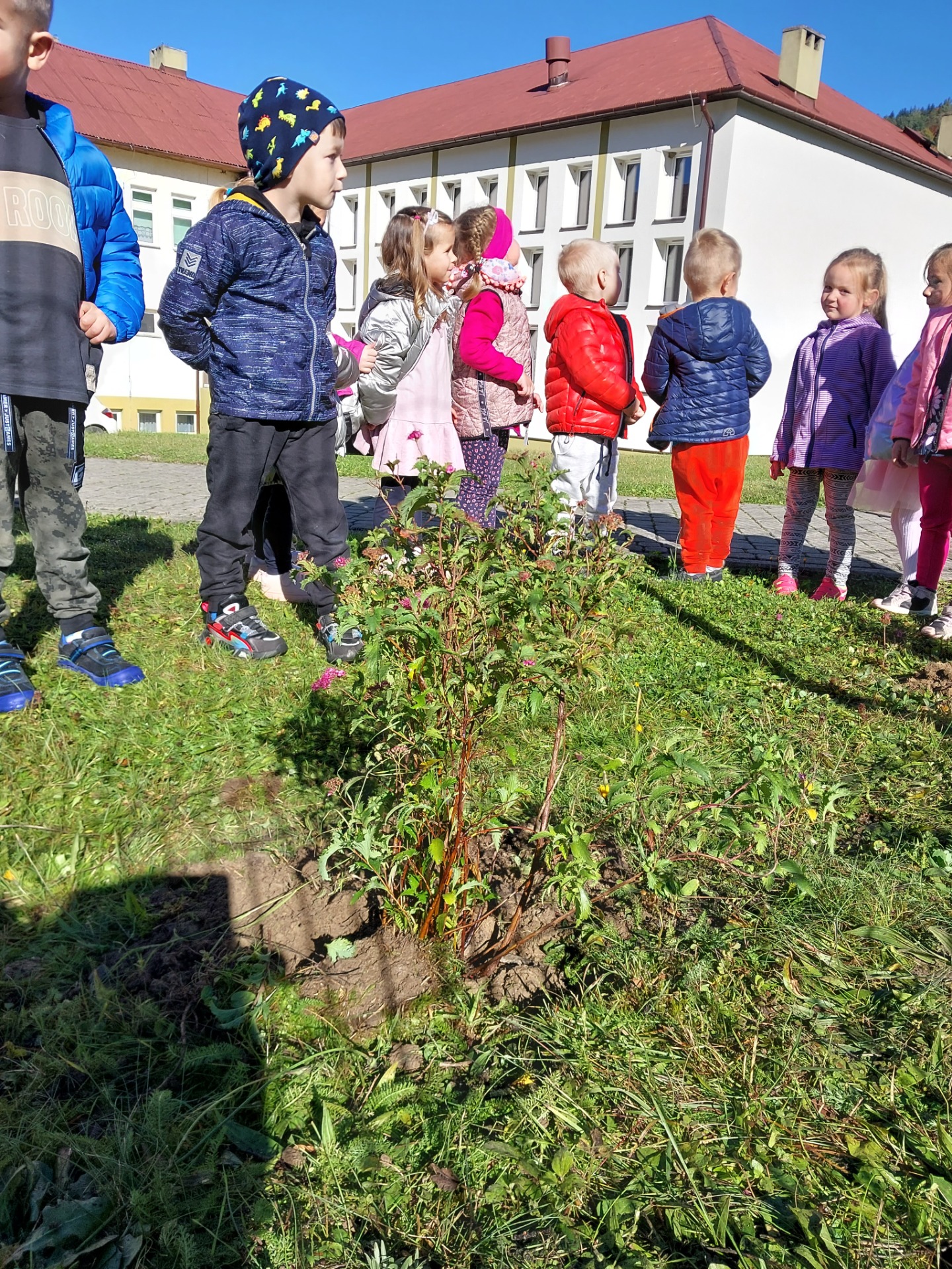 Przedszkolaki sadzą drzewa w ramach Ogólnopolskiego Dnia Drzewa - Obrazek 5
