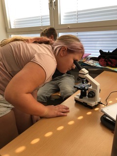 Mikroskopieren im Biologie Unterricht der 2. Klasse - Bild 1
