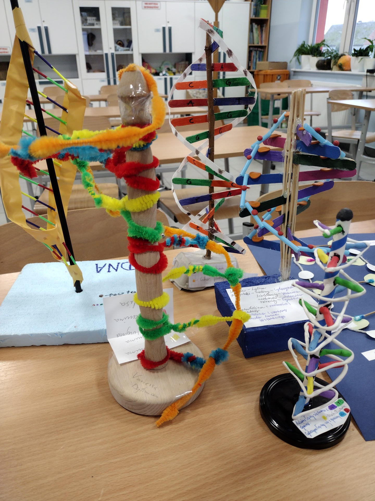 DNA - modelowa biologia - Obrazek 1
