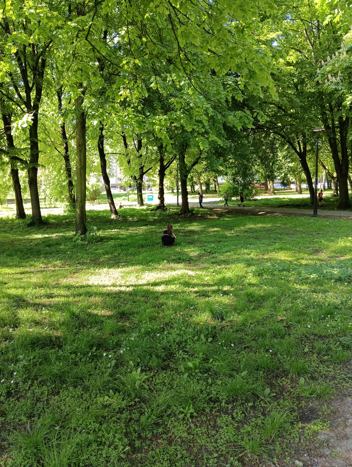 Obserwacje przyrodnicze w parku-kl.2b-P.U.Wawrzyn-Trzewik-2024 - Obrazek 3