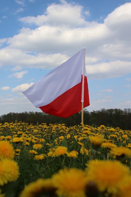 2 Maja - Dzień Flagi Rzeczypospolitej Polskiej - Obrazek 6