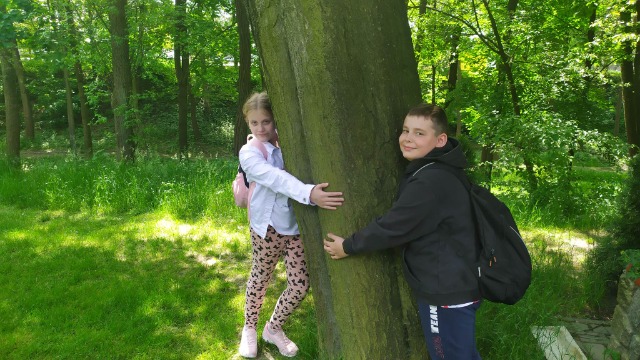 Przytulamy się do drzew
