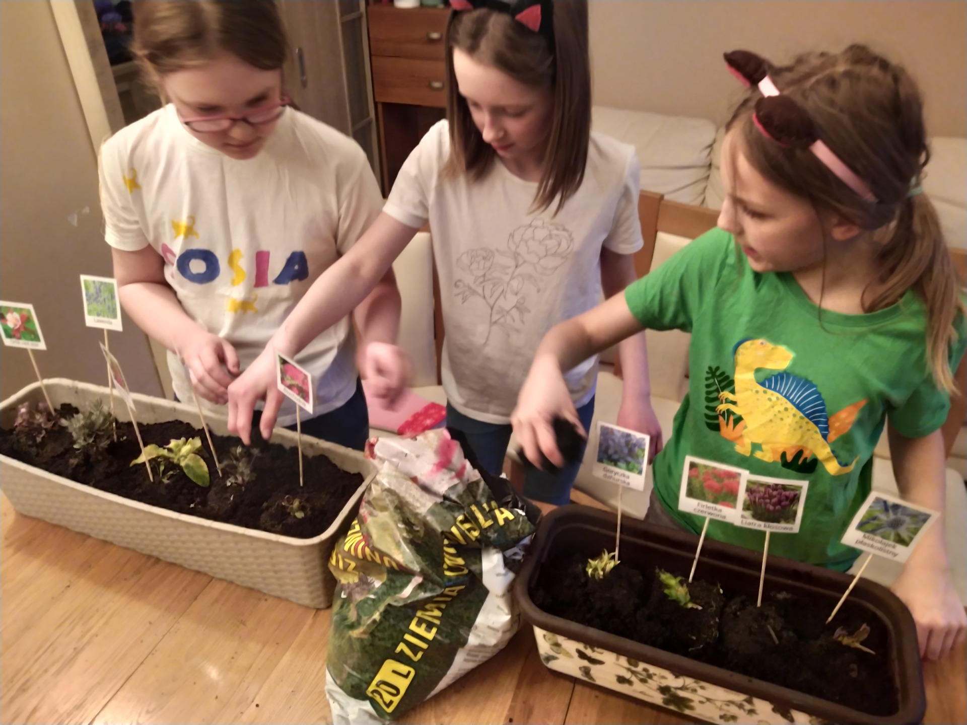 Dziewczynki przygotowują sadzonki roślin dla trzmieli..jpg