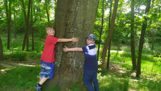 Przytulamy się do drzew